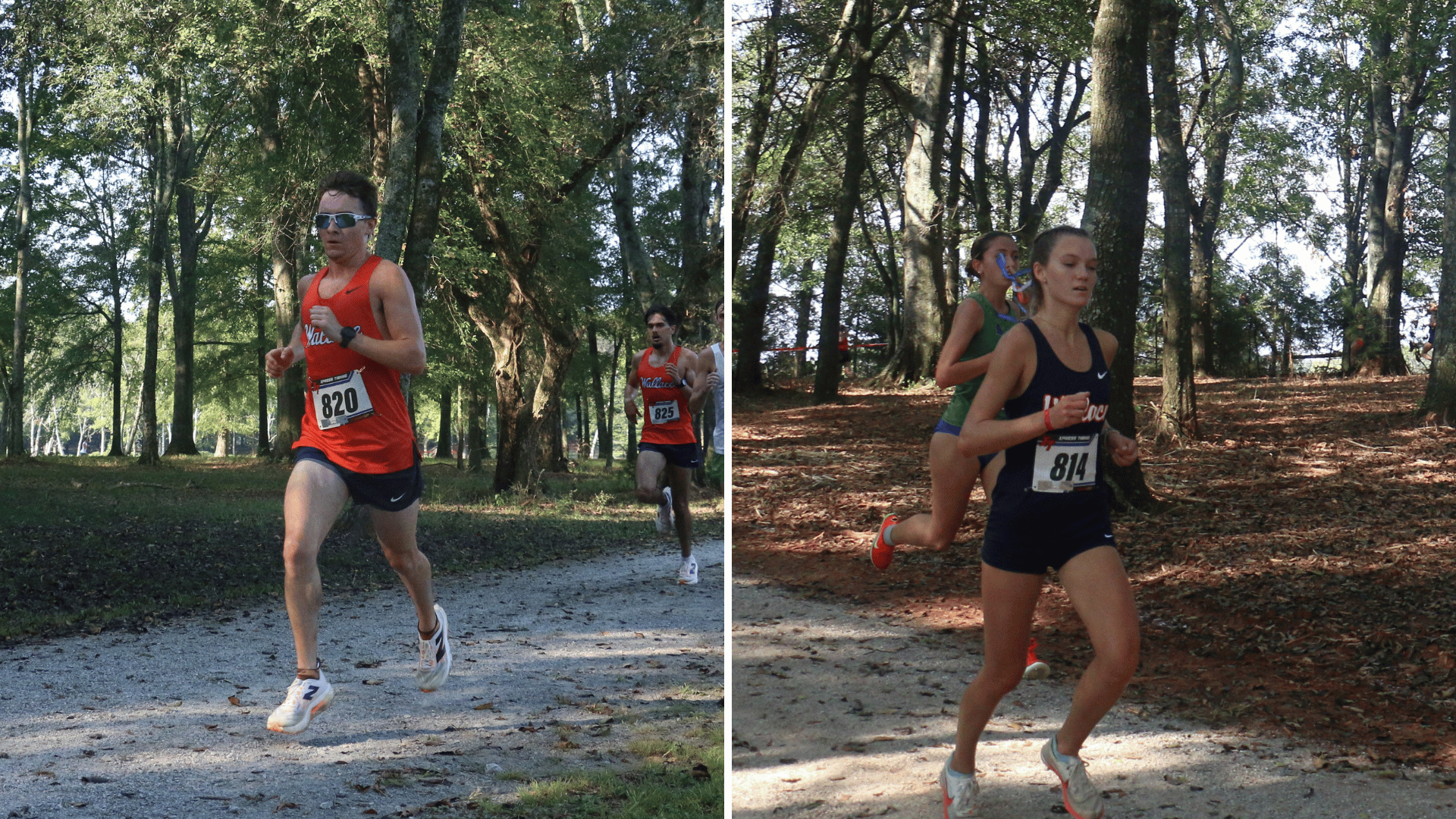 Wallace State Cross Country Posts Strong Finishes at Firehawk Invitational